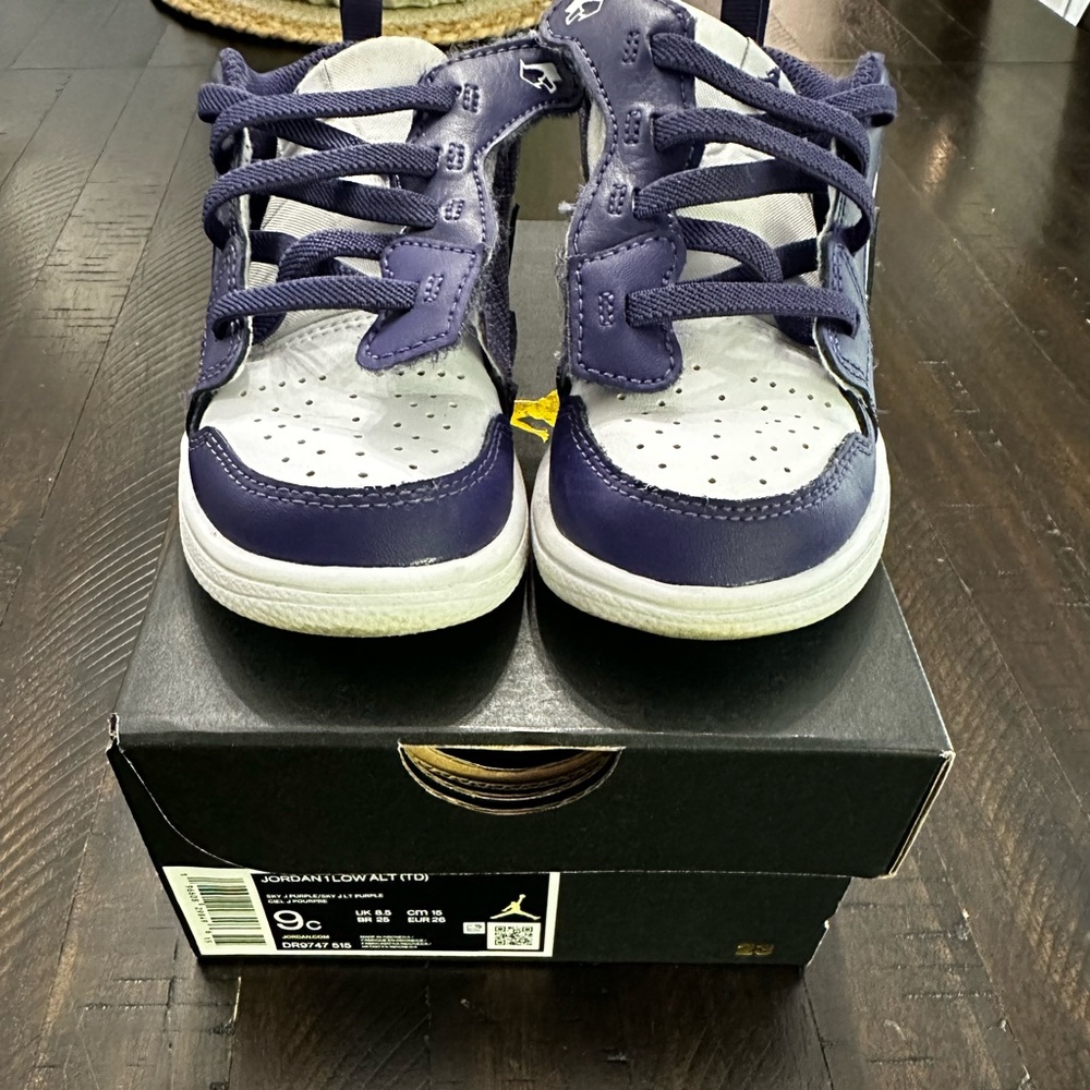 Jordan 1 low (ALT)